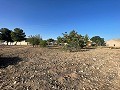 Terrain à Úbeda in Pinoso Villas