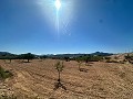 Schönes Baugrundstück in Macisvenda in Pinoso Villas