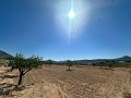 Prachtig bouwkavel in Macisvenda in Pinoso Villas