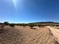 Magnifique terrain à bâtir à Cañada Del Trigo in Pinoso Villas