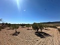 Geweldig bouwkavel in Cañada Del Trigo in Pinoso Villas