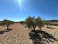 Magnifique terrain à bâtir à Cañada Del Trigo in Pinoso Villas