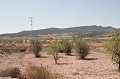 Finca met 4 slaapkamers in Torre de Rico in Pinoso Villas