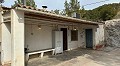 Maison troglodyte de 3 chambres près de Pinoso in Pinoso Villas