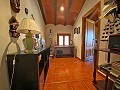  4 Bedroom Country House 4 min outside Pinoso in Pinoso Villas