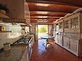  4 Bedroom Country House 4 min outside Pinoso in Pinoso Villas