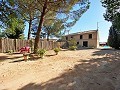  4 Bedroom Country House 4 min outside Pinoso in Pinoso Villas