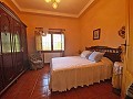  4 Bedroom Country House 4 min outside Pinoso in Pinoso Villas