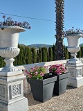 Villa mit unglaublicher Aussicht in einem kleinen Dorf nur wenige Minuten von Pinoso entfernt in Pinoso Villas