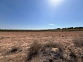 Gran Parcela de Terreno con Olivos in Pinoso Villas