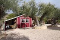 Belle propriété de 3 chambres et 2 salles de bains Macisvenda in Pinoso Villas