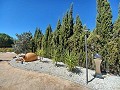 Casa grande en pueblo cerca de Pinoso y Monovar in Pinoso Villas