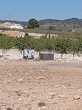 Building plot next to Ubeda in Pinoso Villas