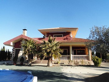 Maravillosa villa con piscina y jardin en Pinoso