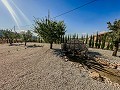 Atemberaubende Neubauvillen inklusive Grundstück und Pool in Pinoso Villas