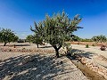 Atemberaubende Neubauvillen inklusive Grundstück und Pool in Pinoso Villas