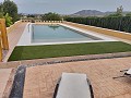 Villa avec 3 chambres, grande piscine et à pied de la ville in Pinoso Villas