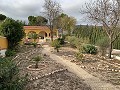 Villa avec 3 chambres, grande piscine et à pied de la ville in Pinoso Villas