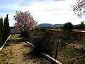 Villa avec 3 chambres, grande piscine et à pied de la ville in Pinoso Villas