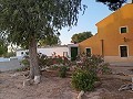 3 Bedroom Renovated house Yecla in Pinoso Villas