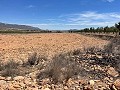 Terrain de 15 000 m2 à Pinoso avec électricité sur place et eau potable à proximité in Pinoso Villas