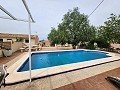 Large 200 year old Country House with pool in Pinoso Villas