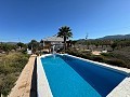 3 Bedroom Villa in Sax in Pinoso Villas