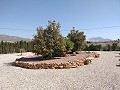 Villa con increíbles vistas en un pequeño pueblo a pocos minutos de Pinoso in Pinoso Villas