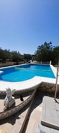 Charming 5 Bedroom 3 Bathroom Country House in Pinoso Villas