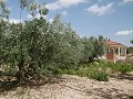 Estupendo chalet a 4 km de Yecla in Pinoso Villas