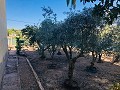 Landhaus mit Renovierungspotenzial und endlosen Möglichkeiten in Yecla in Pinoso Villas