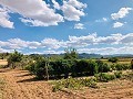 Beautifully Preserved Country Home in a Stunning Yecla Location in Pinoso Villas