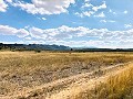 Maison de campagne magnifiquement préservée dans un superbe emplacement à Yecla in Pinoso Villas