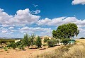 Maison de campagne magnifiquement préservée dans un superbe emplacement à Yecla in Pinoso Villas