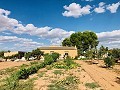 Maison de campagne magnifiquement préservée dans un superbe emplacement à Yecla in Pinoso Villas