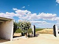 Maison de campagne magnifiquement préservée dans un superbe emplacement à Yecla in Pinoso Villas