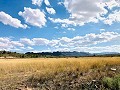 Maison de campagne magnifiquement préservée dans un superbe emplacement à Yecla in Pinoso Villas