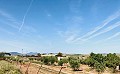 Landhuis op loopafstand van Pinoso in Pinoso Villas