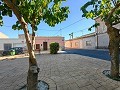 3 Bedroom House Chinorlet in Pinoso Villas