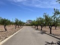 Atemberaubende freistehende Villa mit Pool in Pinoso in Pinoso Villas