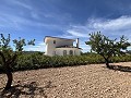 Impresionante villa independiente con piscina en Pinoso in Pinoso Villas