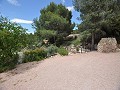 Casa cueva modernizada en las montañas in Pinoso Villas