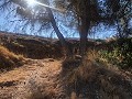 Maison en partie troglodyte modernisée dans les montagnes in Pinoso Villas