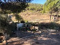 Maison en partie troglodyte modernisée dans les montagnes in Pinoso Villas