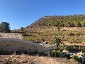 Maison en partie troglodyte modernisée dans les montagnes in Pinoso Villas