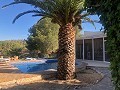 Maison en partie troglodyte modernisée dans les montagnes in Pinoso Villas