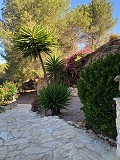 Casa cueva modernizada en las montañas in Pinoso Villas