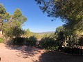 Maison en partie troglodyte modernisée dans les montagnes in Pinoso Villas