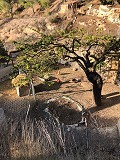 Maison en partie troglodyte modernisée dans les montagnes in Pinoso Villas