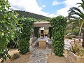 Casa cueva modernizada en las montañas in Pinoso Villas